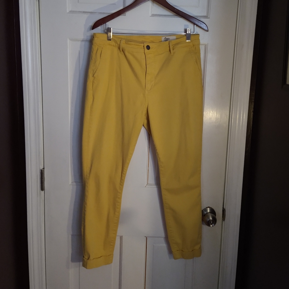 Size 32 Yellow Cosmic Blue Love skinny ankle pants